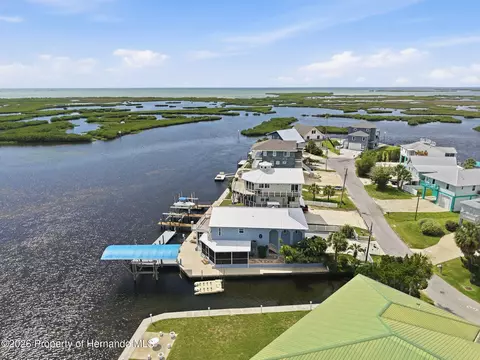 View/Area - 3420 Eagle Nest Dr, Hernando Beach, FL 34607 photo 13 of 24