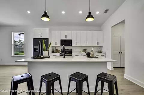 Kitchen - 6589 Freeport Dr, Spring Hill, FL 34608 photo 6 of 7