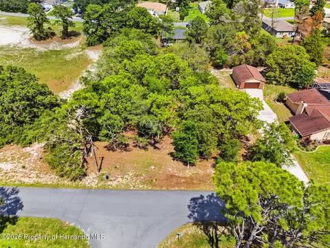 0 Staten Ave, Spring Hill, FL 34609 photo 6