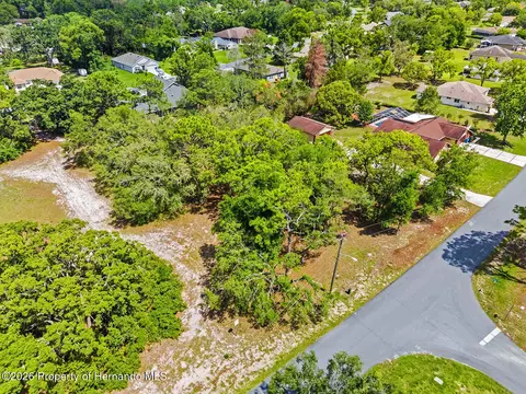 0 Staten Ave, Spring Hill, FL 34609 photo 5