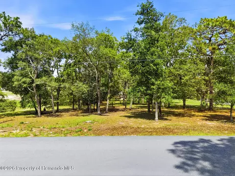 0 Staten Ave, Spring Hill, FL 34609 photo 4