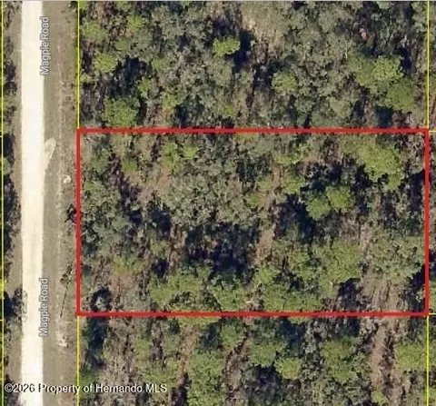 16026 Magpie Rd, Brooksville, FL 34614
