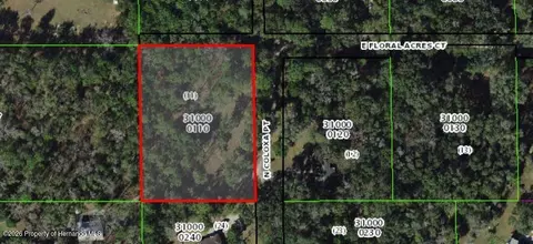 8927 E Floral Acres Ct, Floral City, FL 34436