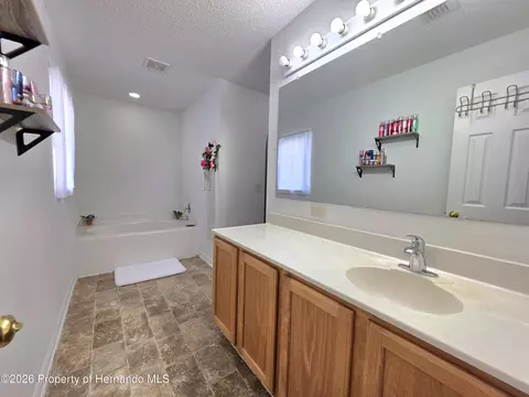 Bath - 9055 Pemberton St, Spring Hill, FL 34608 photo 5 of 6