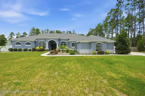 Other - 4743 Jumper Loop, Spring Hill, FL 34609 photo 1 of 19