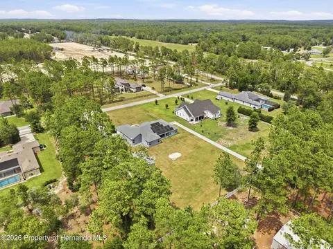 View/Area - 4743 Jumper Loop, Spring Hill, FL 34609 photo 5 of 15