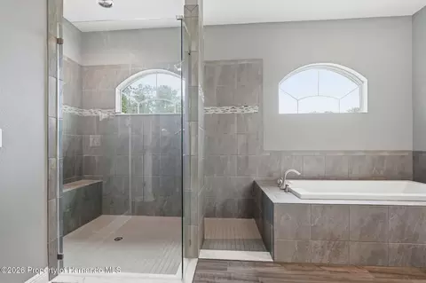 Bath - 4743 Jumper Loop, Spring Hill, FL 34609 photo 9 of 10