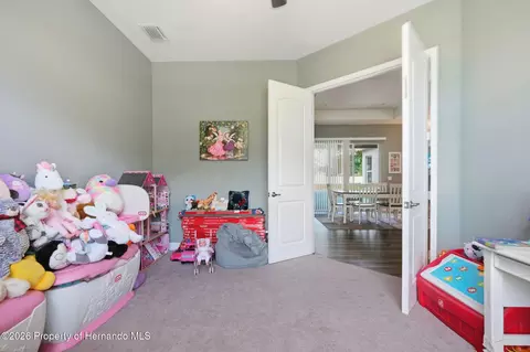 Other - 4743 Jumper Loop, Spring Hill, FL 34609 photo 6 of 19