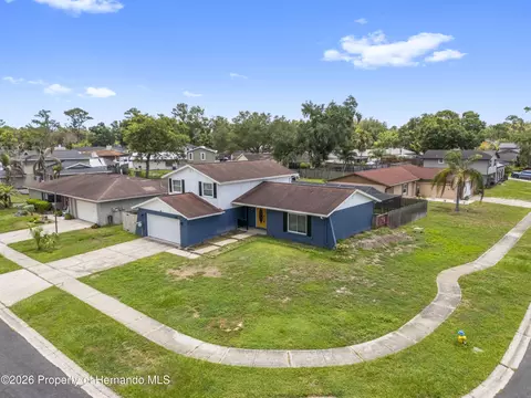 View/Area - 3608 Casaba Loop, Valrico, FL 33596 photo 4 of 10