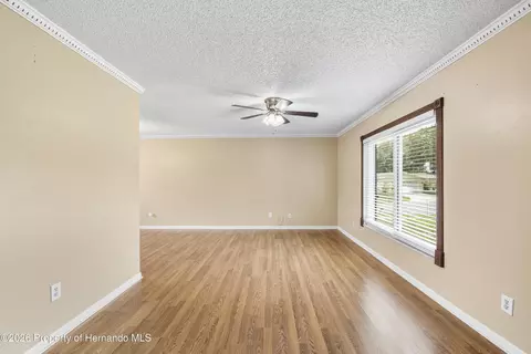 Living - 3608 Casaba Loop, Valrico, FL 33596 photo 3 of 7