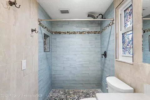 Bath - 3608 Casaba Loop, Valrico, FL 33596 photo 4 of 4