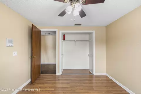 Bedroom - 3608 Casaba Loop, Valrico, FL 33596 photo 5 of 6