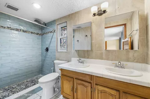 Bath - 3608 Casaba Loop, Valrico, FL 33596 photo 3 of 4
