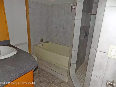 Bath - 6134 Pinehurst Dr, Spring Hill, FL 34606 photo 1 of 1