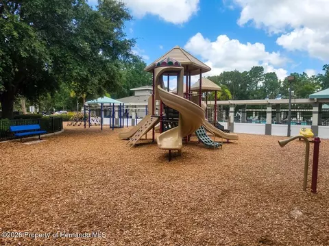 Other - 5259 Greystone Dr, Spring Hill, FL 34609 photo 20 of 31