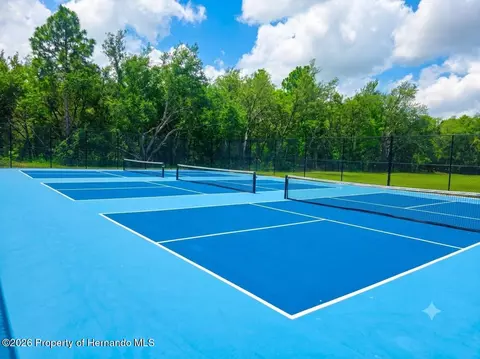 View/Area - 5259 Greystone Dr, Spring Hill, FL 34609 photo 1 of 1