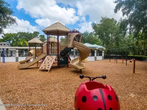 Other - 5259 Greystone Dr, Spring Hill, FL 34609 photo 19 of 31
