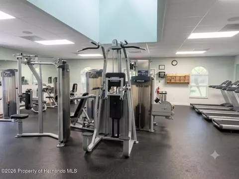 Other - 5259 Greystone Dr, Spring Hill, FL 34609 photo 16 of 31