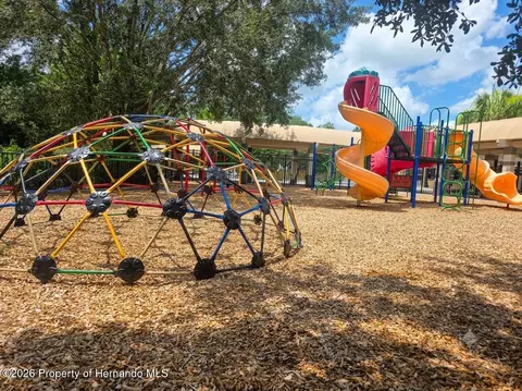 Other - 5259 Greystone Dr, Spring Hill, FL 34609 photo 28 of 31
