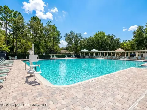 Exterior - 5259 Greystone Dr, Spring Hill, FL 34609 photo 6 of 12