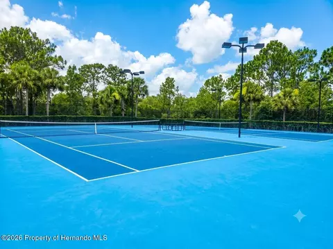 Other - 5259 Greystone Dr, Spring Hill, FL 34609 photo 21 of 31