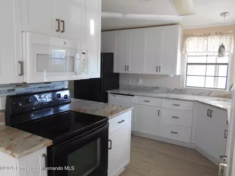 8223 Fortune Hunter Dr, Brooksville, FL 34613