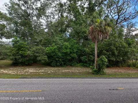 0 Fort Dade Ave, Brooksville, FL 34601