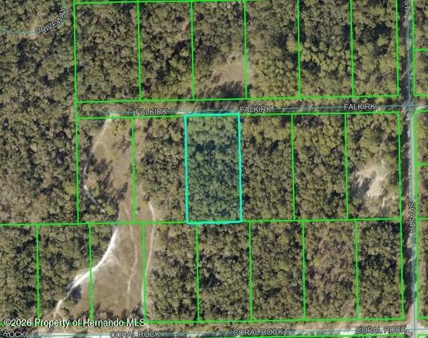 0 Falkirk St, Webster, FL 33597