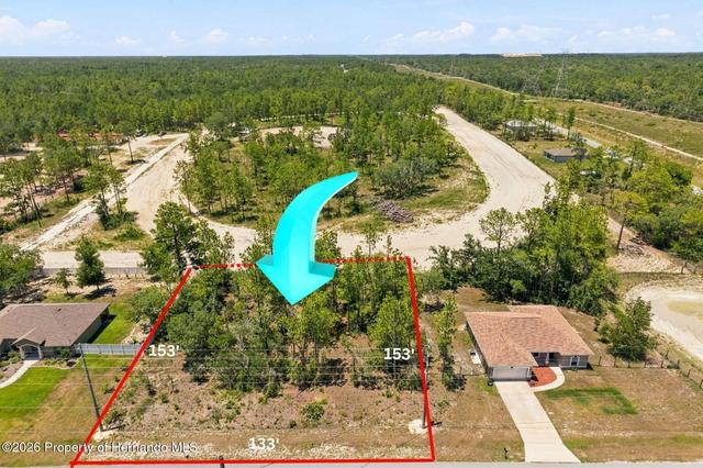 lot2 Ruffed Grouse Rd, Weeki Wachee, FL 34614