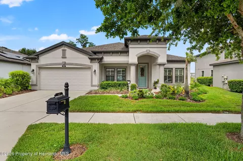 8320 Bluevine Sky Dr, Land O'lakes, FL 34637