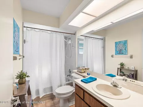 Bath - 6558 Pine Meadows Dr, Spring Hill, FL 34606 photo 3 of 3