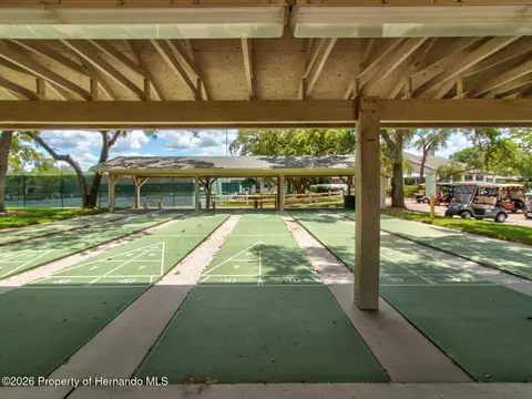Other - 6558 Pine Meadows Dr, Spring Hill, FL 34606 photo 18 of 22