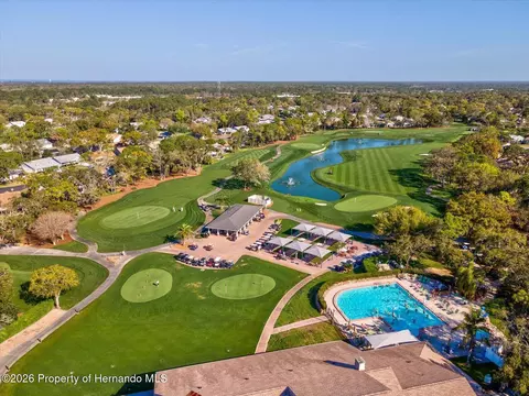 View/Area - 6558 Pine Meadows Dr, Spring Hill, FL 34606 photo 6 of 16