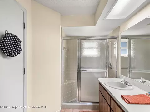 Bath - 6558 Pine Meadows Dr, Spring Hill, FL 34606 photo 2 of 3
