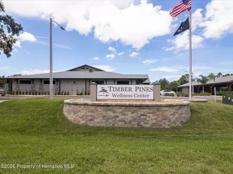 Other - 6558 Pine Meadows Dr, Spring Hill, FL 34606 photo 12 of 22