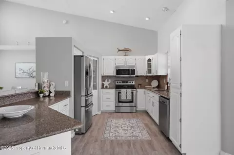 3342 Turks Cap Dr, Hernando Beach, FL 34607 photo 9