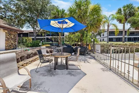 6653 River Run Blvd, Weeki Wachee, FL 34607 photo 49