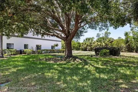 6653 River Run Blvd, Weeki Wachee, FL 34607 photo 32