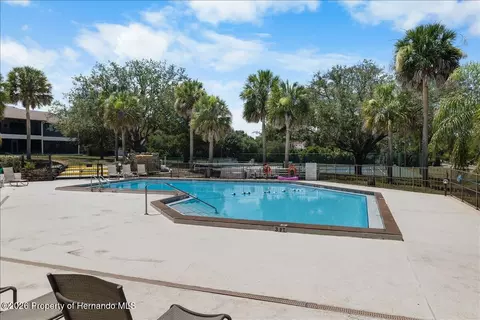 6653 River Run Blvd, Weeki Wachee, FL 34607 photo 47