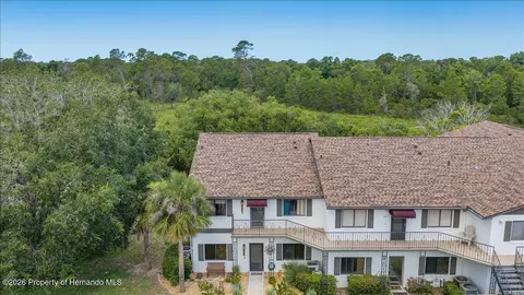 6653 River Run Blvd, Weeki Wachee, FL 34607 photo 31