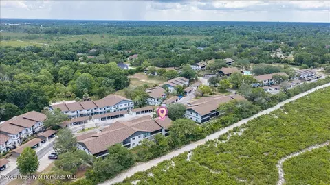 6653 River Run Blvd, Weeki Wachee, FL 34607 photo 36
