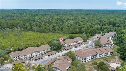 6653 River Run Blvd, Weeki Wachee, FL 34607 photo 40