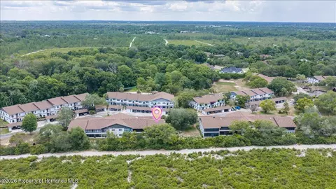 6653 River Run Blvd, Weeki Wachee, FL 34607 photo 37