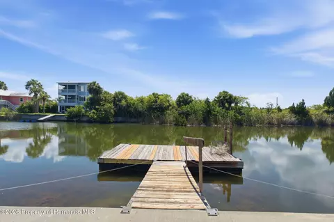 3250 Rose Arbor Dr, Hernando Beach, FL 34607 photo 46