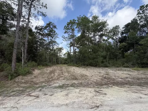 0 Idlewood Dr, Webster, FL 33597 photo 1