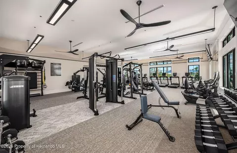 Other - 3853 Benham Rise Rd, Spring Hill, FL 34609 photo 13 of 15