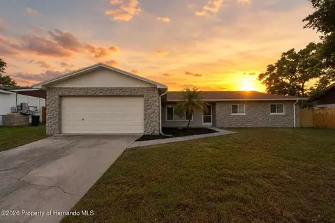 3822 Ravenna Dr, Valrico, FL 33594