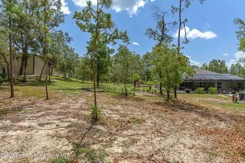 Exterior - 15015 Eckerley Dr, Weeki Wachee, FL 34614 photo 14 of 15