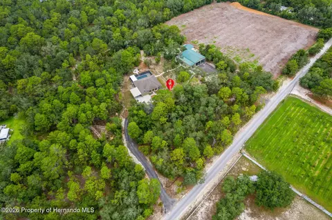 View/Area - 15015 Eckerley Dr, Weeki Wachee, FL 34614 photo 5 of 5