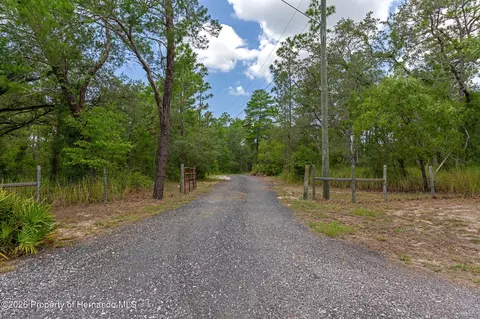Other - 15015 Eckerley Dr, Weeki Wachee, FL 34614 photo 28 of 35